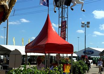 Carnival Entrance Canopies