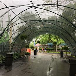 Adventureland Arbor Walkway Photo 1