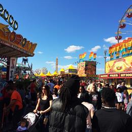 Florida State Fair Photo 16