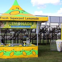 Lemondade Stand 1