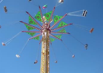 Carnival Custom Ride Panels