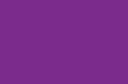 Laker Purple
